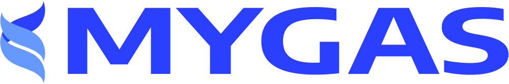 website logo